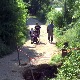 Село Велики Вртоп у општини Гаџин Хан одсечено од света – бујица однела путеве и мостове