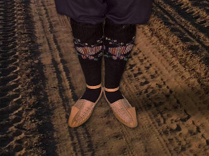  1001 Траг - Цицварића кокоњеште - НО Жарка Милановића 