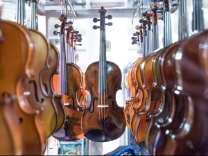 	Свирај свирче - виола 