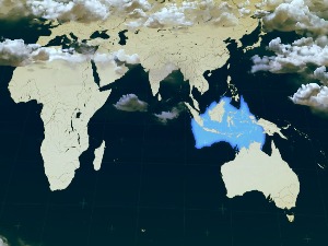 Плес континената:  Океанија и острва Тихог океана