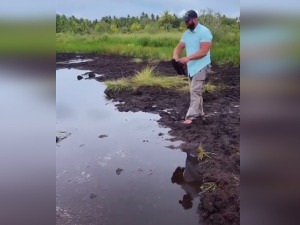 Папуче су криве