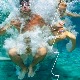 У хладу оморике овог лета те чека неограничени интернет