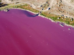 Од природе се ништа не може сакрити – лагуна у Аргентини променила боју