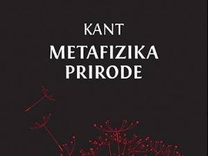 Кант, Метафизика природе