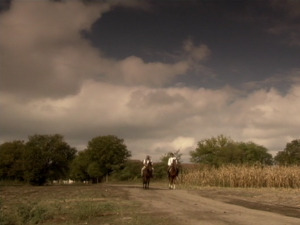  1001 Траг - Гора јечи - Бранкица Васић 