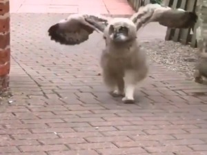 Скок удаљ за Токио