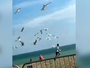 Хичкоков сценарио