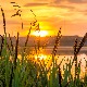 Ритам раног јутра