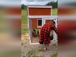 Имао сам страшног петла