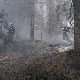 Вулин: Инсистираћу на пооштравању казнене политике према свима који изазову пожар