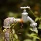 Ванредна ситуација у Пожеги због несташице воде