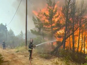 Пожари су повезани са глобалним загревањем – који сценарио је "најцрњи", а који најблажи у будућности