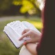 Универзитет у Београду испао из првих 500 на Шангајској листи, Нови Сад поново уврштен