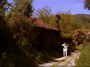  1001 Траг - Не могу се тачно сетит лета - Звонко Богдан 