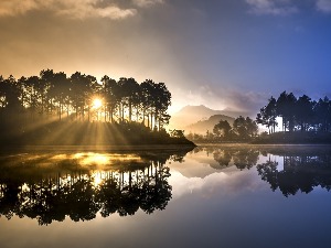 Ритам раног јутра