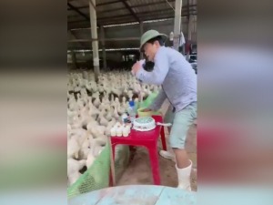 Мајстор ди-џеј