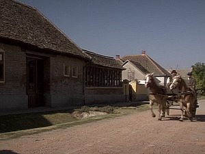  1001 Траг - Марош Марош - Наракорд 