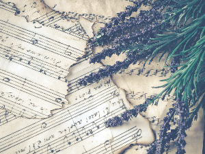 Свирај свирче - Тарагот 