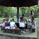 Ко учи ситан бод у панчевачкој Народној башти