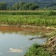 Агенција за заштиту животне средине: Бара код Лознице црвена због присуства алги