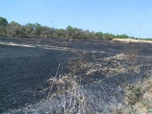 Пожар на депонији у Винчи потпуно локализован