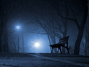 Ноћне променаде