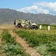 Нова медаља за Војску Србије на војном релију