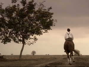  1001 Траг - Алај волем, па волем - Александар Дејановић 