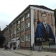 Школа у Мајданпеку носи име по прерано преминулом младом физичару: Мурал на ОШ "Михајло Спорић"