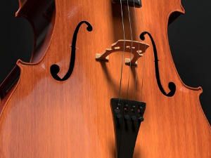 Свирај свирче - Виолончело