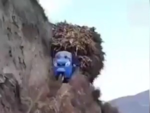 Краљ низбрдице