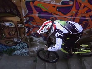 Господин мозак:  Вид и боје