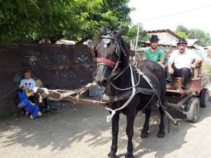 Ђелем, ђелем - химна свих Рома света