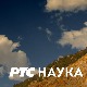 Подводни свет: Супа од пелагијских риба