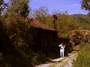  1001 Траг - Роми роми - Љиљана Петровић Батлер 