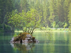 Форконтумац, панчевачки карантин