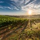 Ритам раног јутра