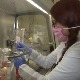 Наставак градње Центра за матичне ћелије у Крагујевцу
