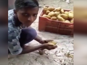 Мајстор за помфрит