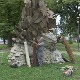 Фејслифтинг за Јабучила, за војводу Момчила нема пара