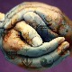 Биоетичке недоумице и модерно време