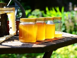 Због чега тегла меда кошта готово 2.000 динара