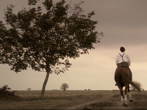  1001 Траг - Месечина - Трубачки оркестар Слободана Салијевић 