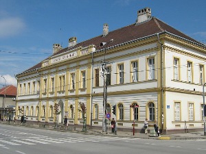 Бурa на мрежама због саопштења у болници у Сремској Митровици, зашто је изречена опомена доктору