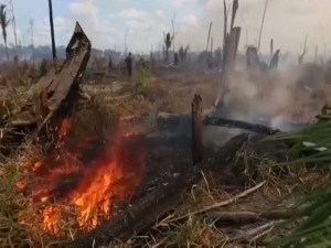 Наш регион топлији је за степен од света, шта треба предузети?