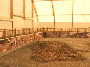 Зашто је Дреновац, неолитски мегалополис, спаљен на мистериозан начин