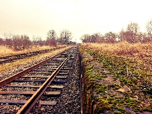 Возови сутра неће ићи од Ниша до Дољевца