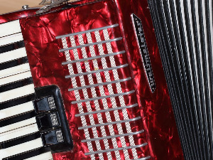 Век хармонике