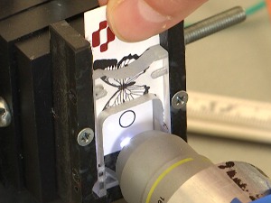 Крила будућности – у каквој су вези лептири и безбедност, открива „Теслаграм"