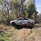 Дан жалости у Алексинцу због смрти породице Ђокић